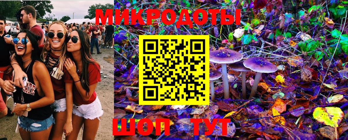 Псилоцибиновые грибы Cubensis Выборг