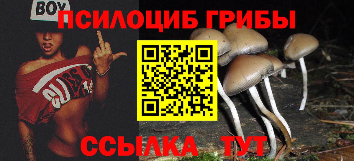 где можно купить   Галлюциногенные грибы мухоморы  Вход с VPN  Выборг 